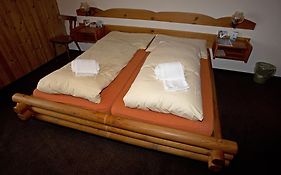 Berghotel Alpina Am Pizol